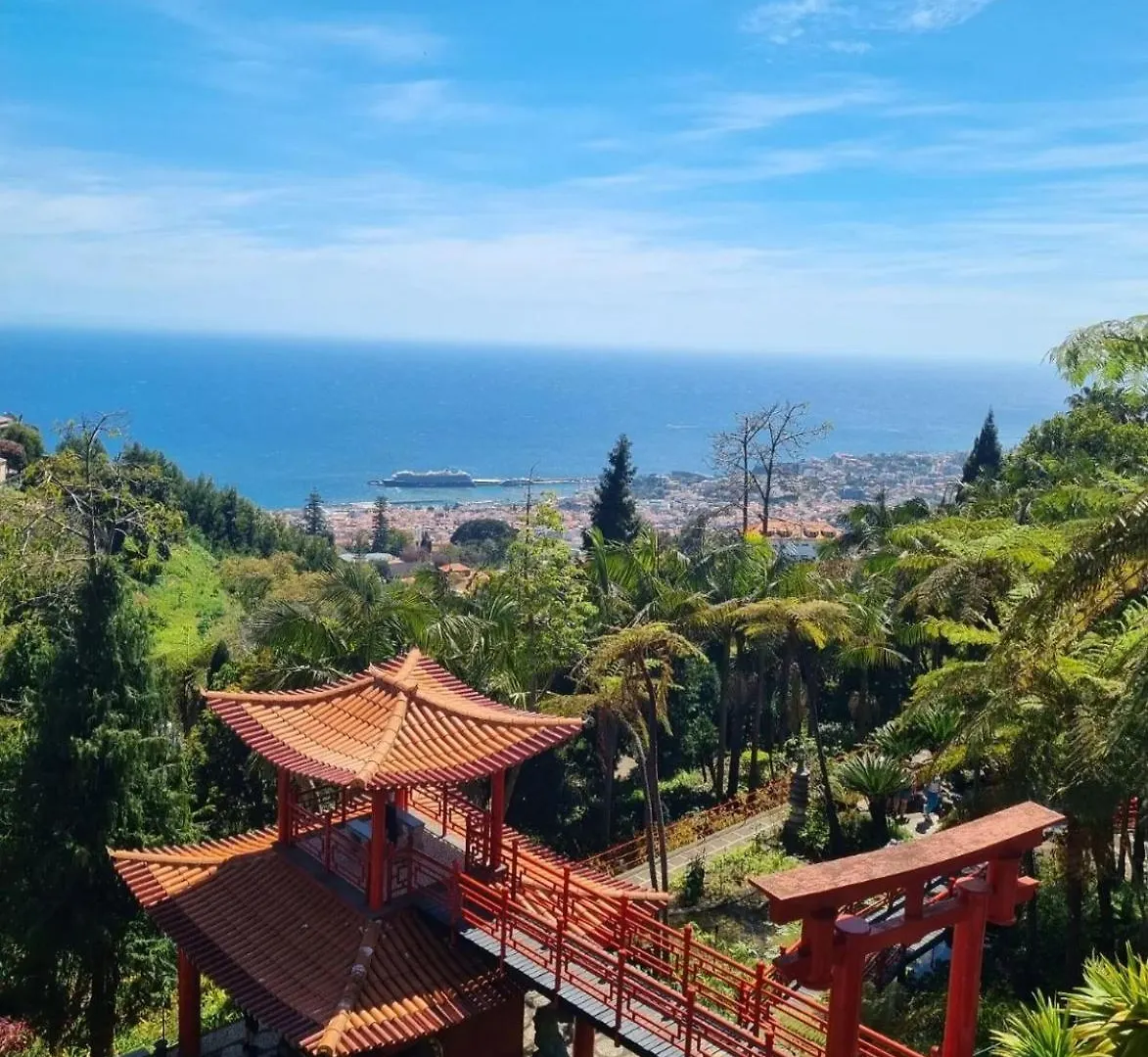 Icamper One Hotell Ribeira Brava 0*,