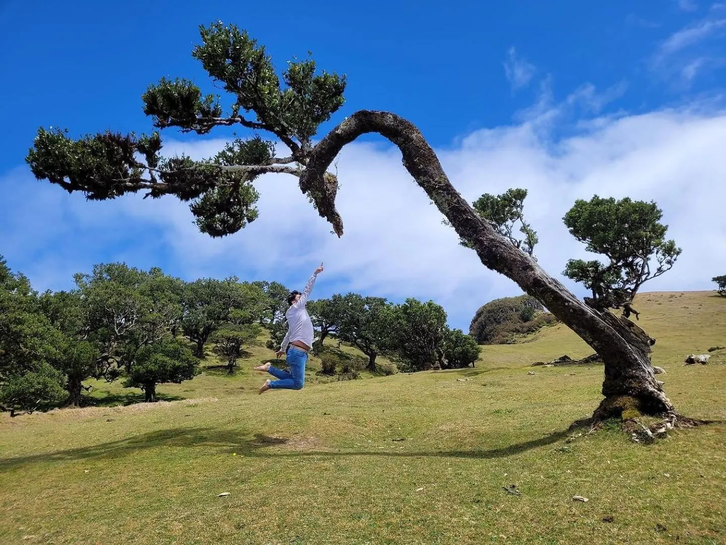 Hotel Icamper One Ribeira Brava Glamping